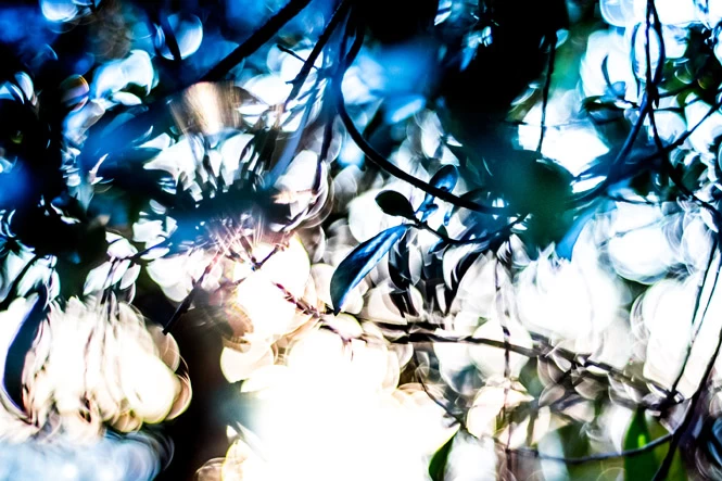 4Pe0DwIMI_OLfcPx.webp