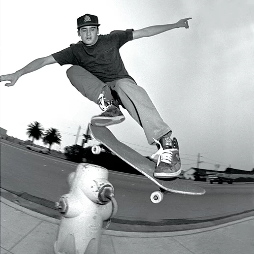 Ed Templeton P.A.M. Books エド・テンプルトン ZINE 0ZHsaYWh_c3pTbI.webp