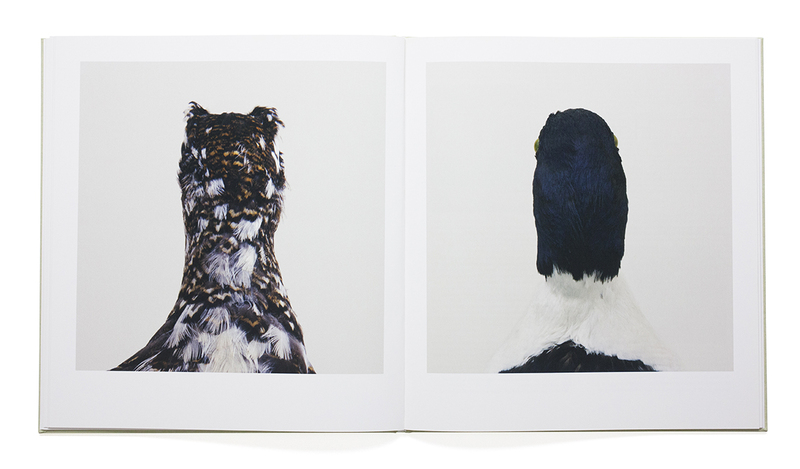 bird - Roni HORN | shashasha - Photography & art in books