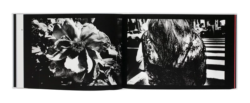 Daido Slide - 森山大道 | shashasha 写々者 - 写真集とアートブック