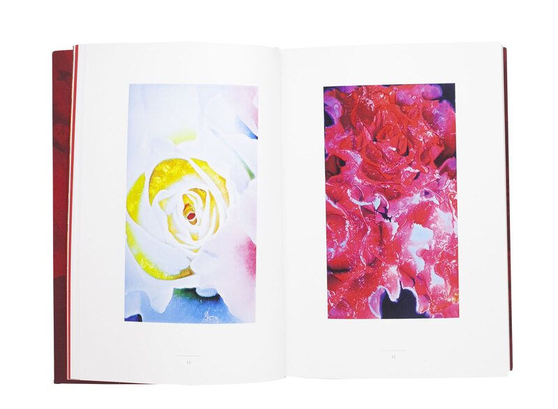 希少　Stéphane Marais 【Beauty Flash】 仏語版 Beauty Flash / Author: Stephane Marais | 小宮山書店 KOMIYAMA