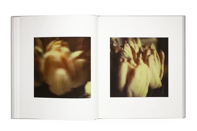 Cy Twombly Photographs: Lyrical Variations - Cy TWOMBLY