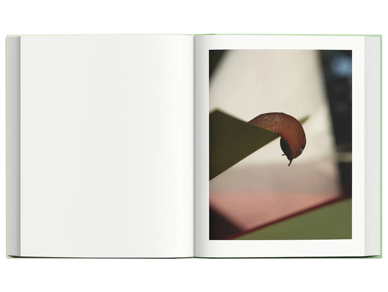 Modern Alchemy - Viviane SASSEN, Emanuele COCCIA | shashasha