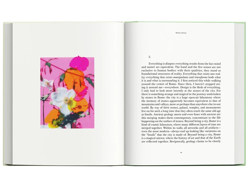 Modern Alchemy - Viviane SASSEN, Emanuele COCCIA | shashasha