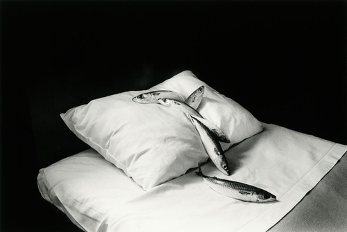 Michiko Kon: Still Lives | MIT List Visual Arts Center