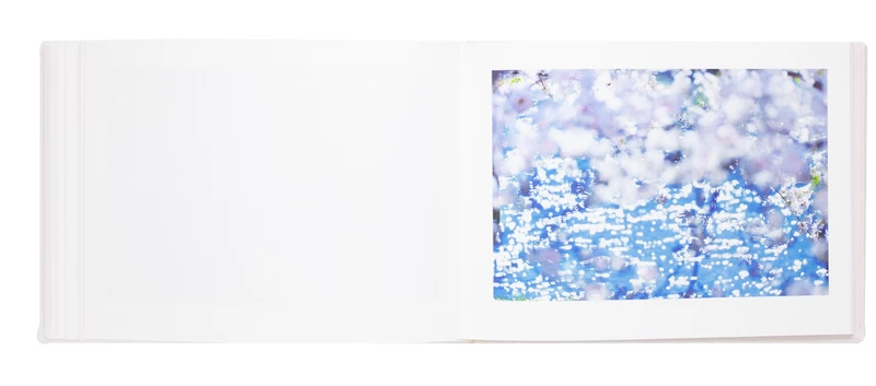 Vira - Mika NINAGAWA | shashasha - Photography & art in books