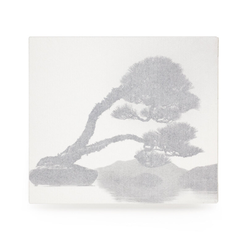 Bonsai Microcosms Macrocosms Masao Yamamoto Shashasha