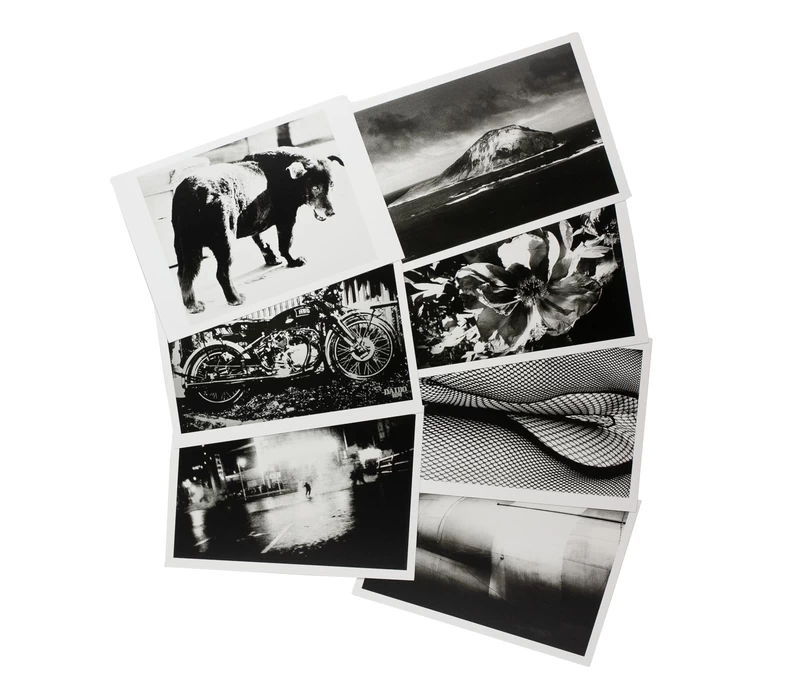 光の記憶 - 森山大道 | shashasha 写々者 - 写真集とアートブック