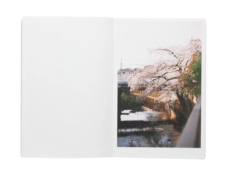 ピンクとオレンジ - 竹中祥平 | shashasha 写々者 - 写真集とアートブック