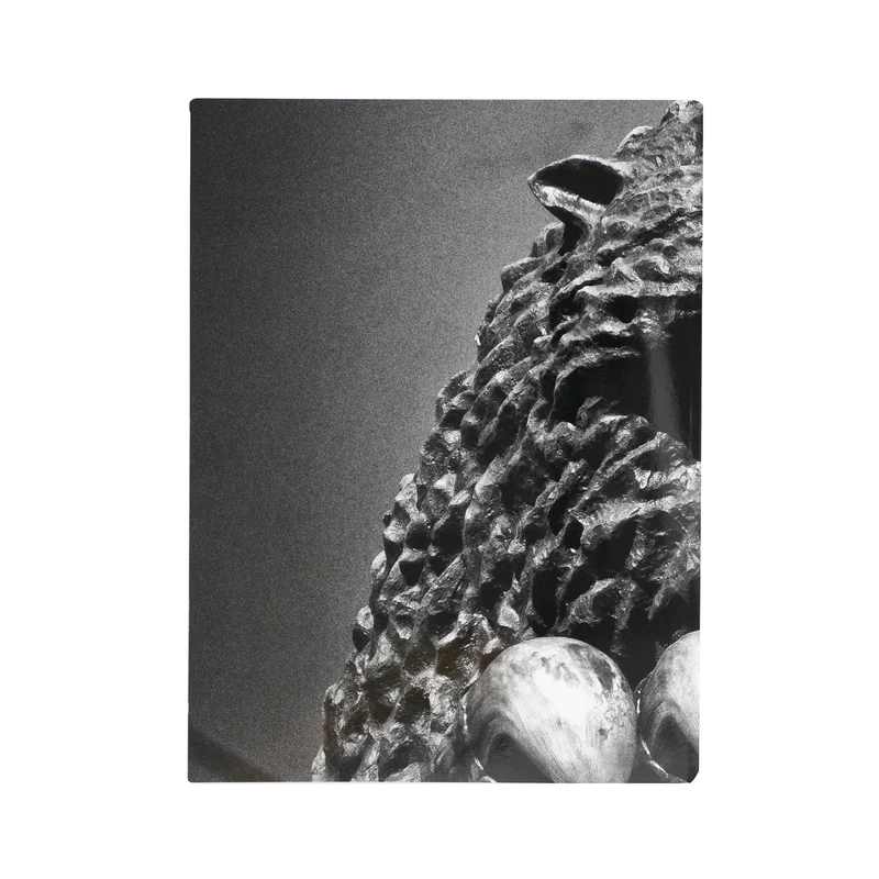 Record No. 46 - Daido MORIYAMA | shashasha - Photography & art in