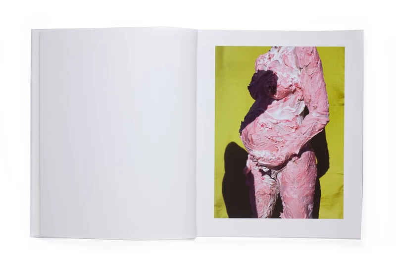 OF MUD AND LOTUS - Viviane SASSEN | shashasha - Photography & art