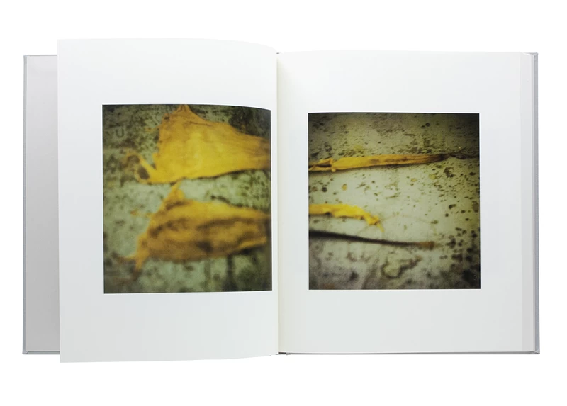 Cy Twombly Photographs - Cy TWOMBLY | shashasha - Photography