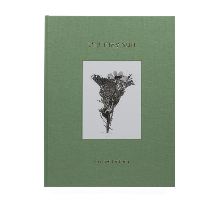 terri weifenbach the may sun 写真集　初版 tq9ORrTDP_pkldqB.webp