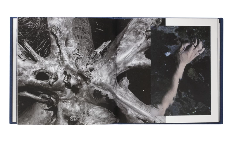 チョー タン タン） - 濵本奏 | shashasha 写々者 - 写真集とアートブック