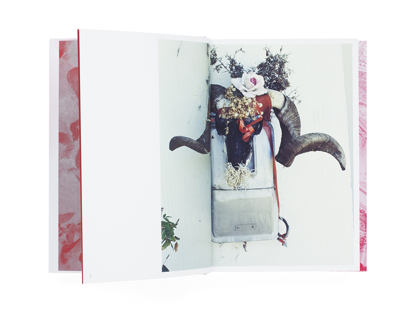 BEASTS OF MINE - Yayoi ARIMOTO  shashasha - Photography & art in books