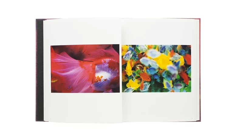Mika Ninagawa: Self-image Catalogue - Mika NINAGAWA | shashasha