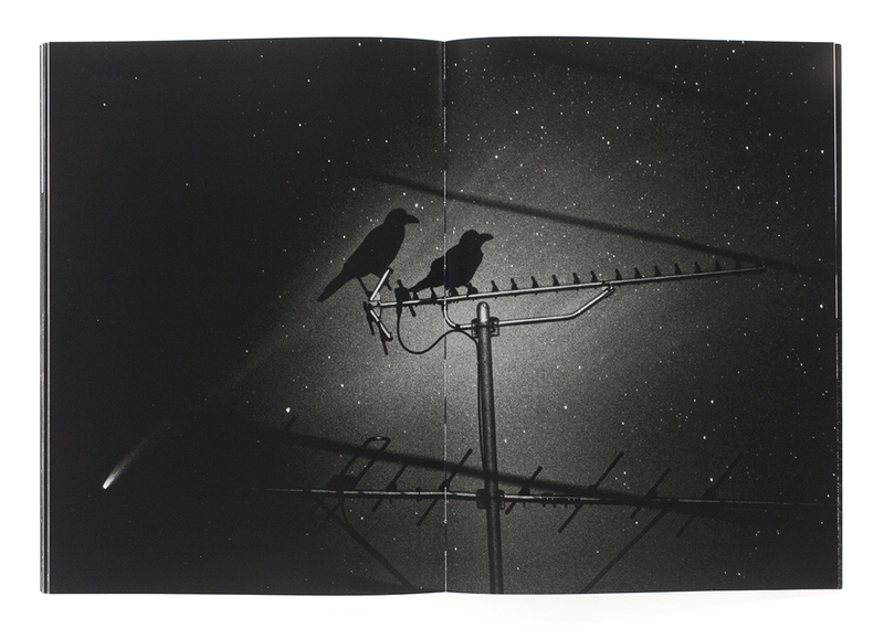 The Last Cosmology - Kikuji KAWADA | shashasha - Photography & art 