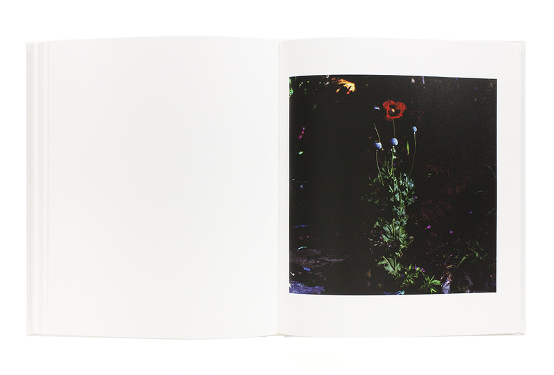 鏡と心中 - 秦雅則 | shashasha 写々者 - 写真集とアートブック