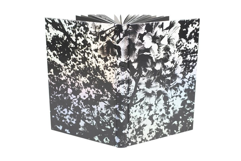 Daido Moriyama: Ango (English Edition) - Daido MORIYAMA