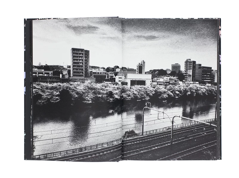 Daido Moriyama: Ango (English Edition) - Daido MORIYAMA