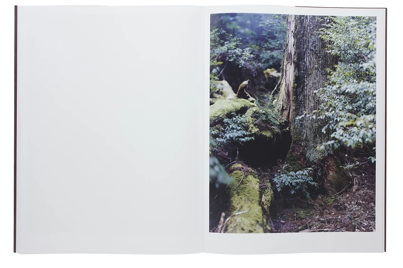 Materia - 上田義彦 | shashasha 写々者 - 写真集とアートブック