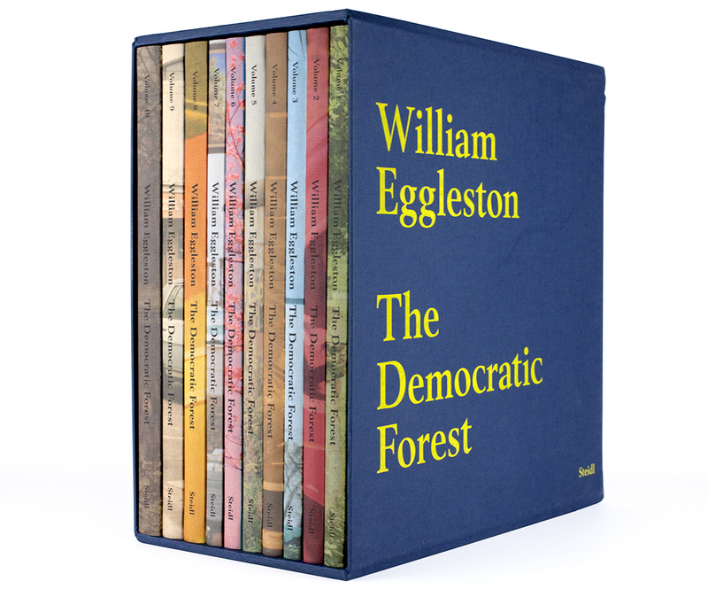 WILLAM EGGLESTON /The Democratic Forest⚪︎カバーに小さい傷があります