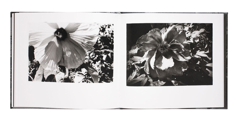 1980s Remnants - Daido MORIYAMA | shashasha - Photography 1980s Remnants - Daido MORIYAMA | shashasha - Photography