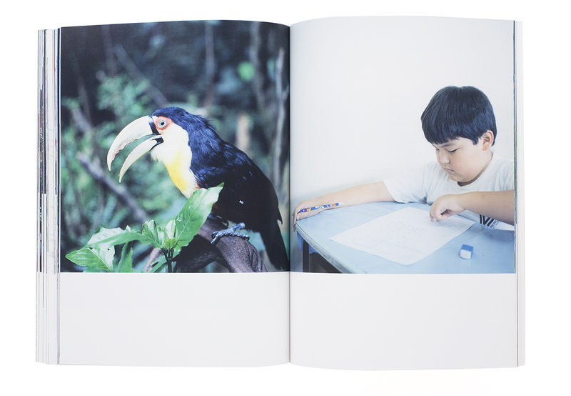 【2025A/W新作★送料無料】 種を蒔く／Semear - 川内倫子 | shashasha 写々者 - 写真集と その他