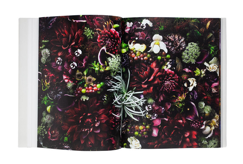 Encyclopedia of Flowers Vol. V - Shunsuke SHIINOKI, Makoto