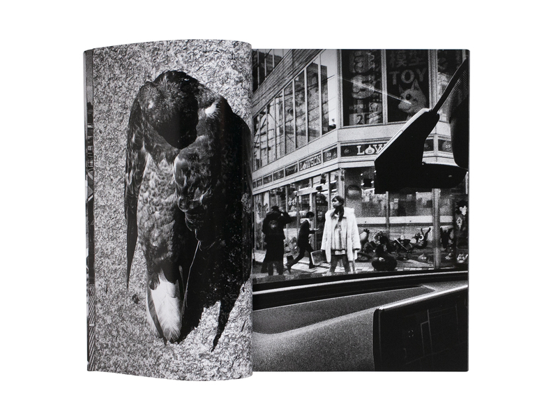 記録45号 - 森山大道 | shashasha 写々者 - 写真集とアートブック