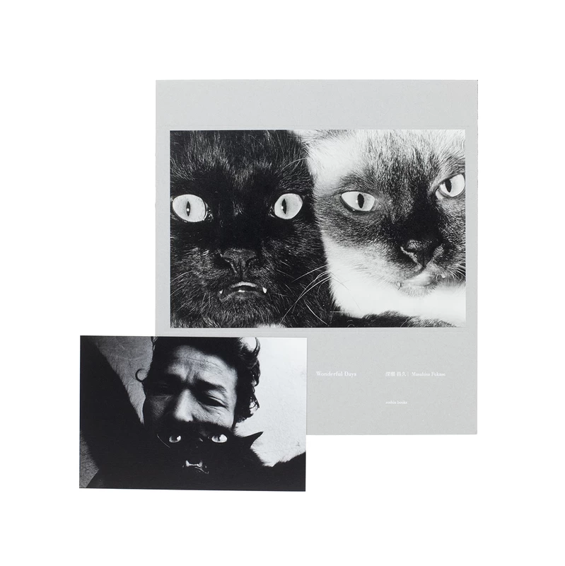 Wonderful Days - Masahisa FUKASE | shashasha - Photography & art