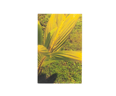 佐内正史 - Masafumi SANAI | shashasha 写々者 - 写真集とアートブック