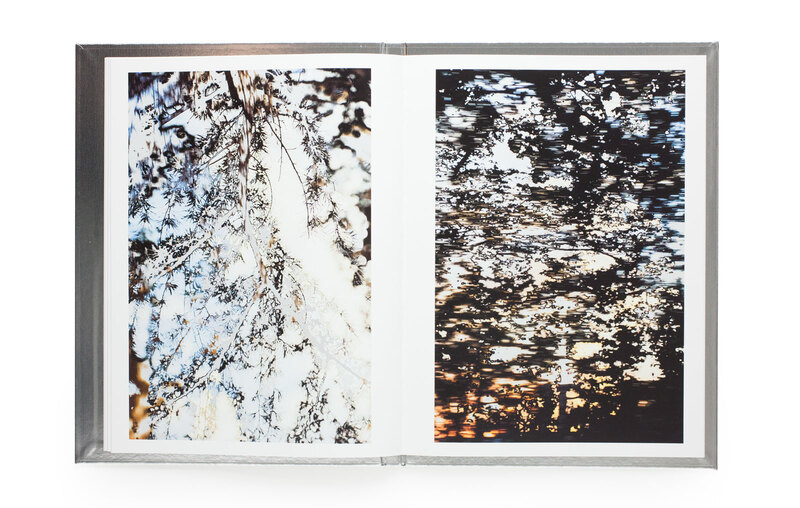 水谷吉法 水谷吉法 - Yoshinori MIZUTANI | shashasha 写々者 - 写真集と