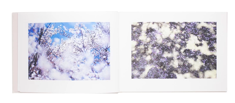 Vira - Mika NINAGAWA | shashasha - Photography & art in books Vira - Mika NINAGAWA | shashasha - Photography & art in books