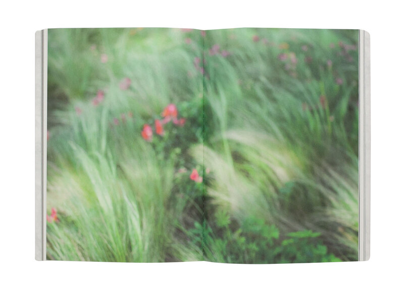 Inception - 渡部さとる | shashasha 写々者 - 写真集とアートブック