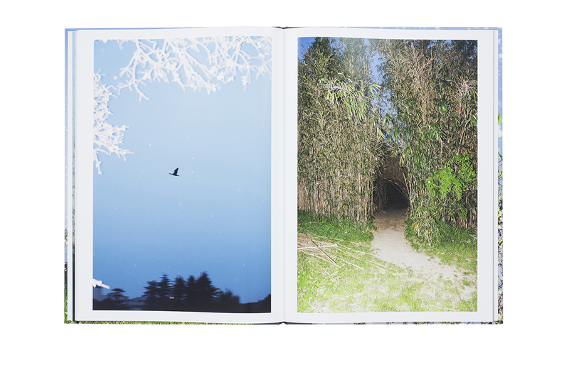 现货Des oiseaux Yoshinori Mizutani 水谷吉法摄影写真集-Taobao