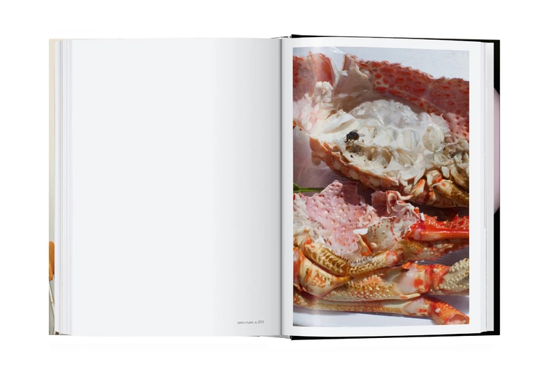 Wolfgang Tillmans アートブック Wolfgang Tillmans. Four Books. 45th Ed. - ヴォルフガング