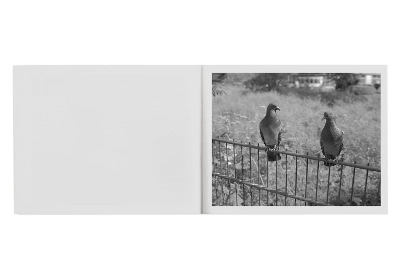 Berlin Pictures - Mark STEINMETZ | shashasha - Photography & art