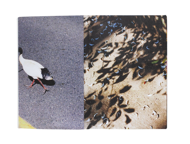 Skinny Wave - LIN Zhipeng aka No.223 | shashasha
