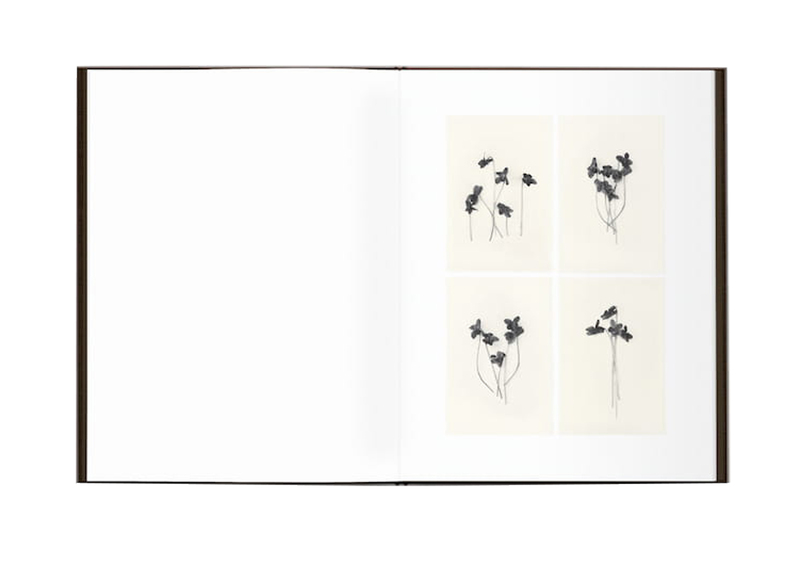 Time in Air, Time in Paper - 森田幸子 | shashasha 写々者 Time in Air, Time in Paper - 森田幸子 | shashasha 写々者