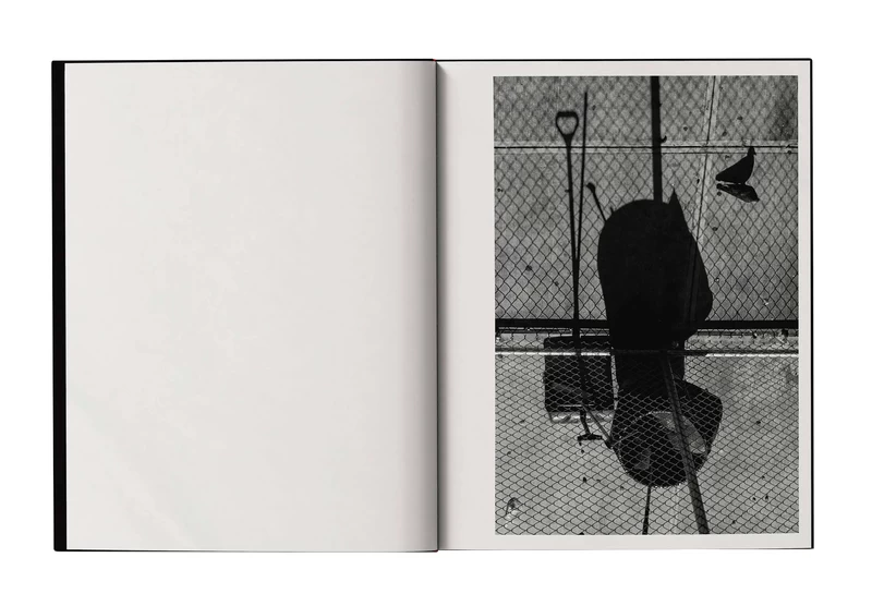 Metropolitan Melancholia - Sarah VAN RIJ, David VAN DER LEEUW