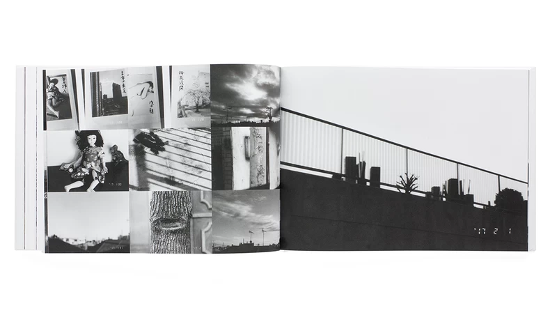 荒木経惟 センチメンタルな旅 1971－ 2017－ - 荒木経惟 | shashasha