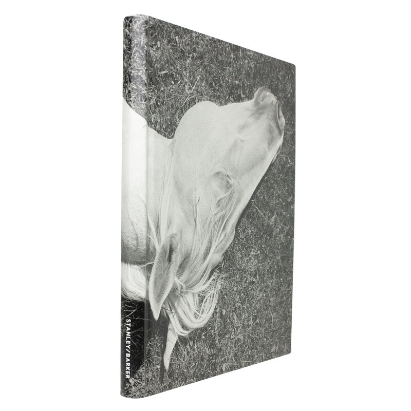 アート・デザイン・音楽 Mimi Plumb / Megalith-still Mimi Plumb: Megalith-Still - BOOK OF DAYS ONLINE SHOP