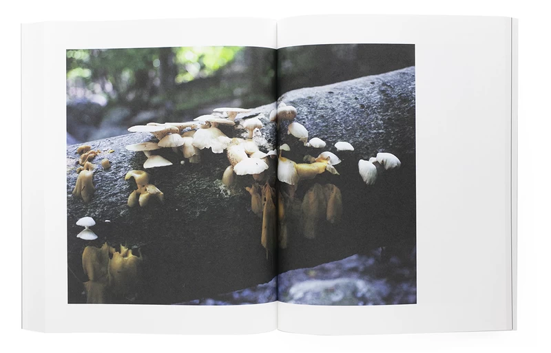 Symphony その森の子供 mushrooms from the forest (ソフトカバー