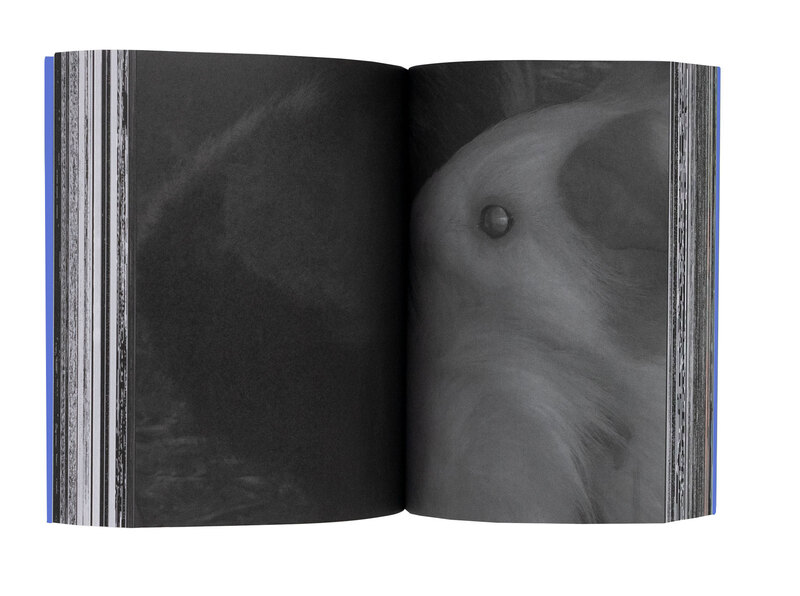 Photography｜写真（青） - 北川浩司 | shashasha 写々者 - 写真