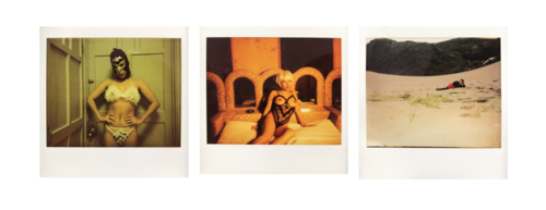 Three polaroid photographs