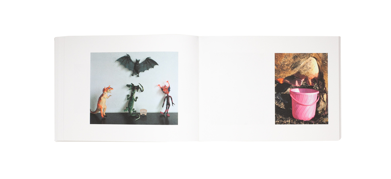 Leben und Tod (Life and Death) - Nobuyoshi ARAKI, Juergen