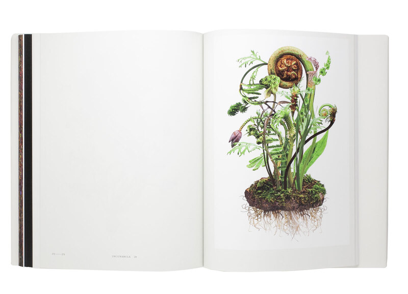植物図鑑 Vol. VI - 東信、椎木俊介 | shashasha 写々者 - 写真