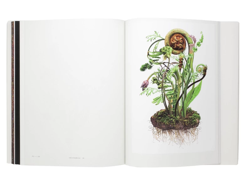 Encyclopedia of Flowers Vol. VI - Makoto AZUMA, Shunsuke SHIINOKI
