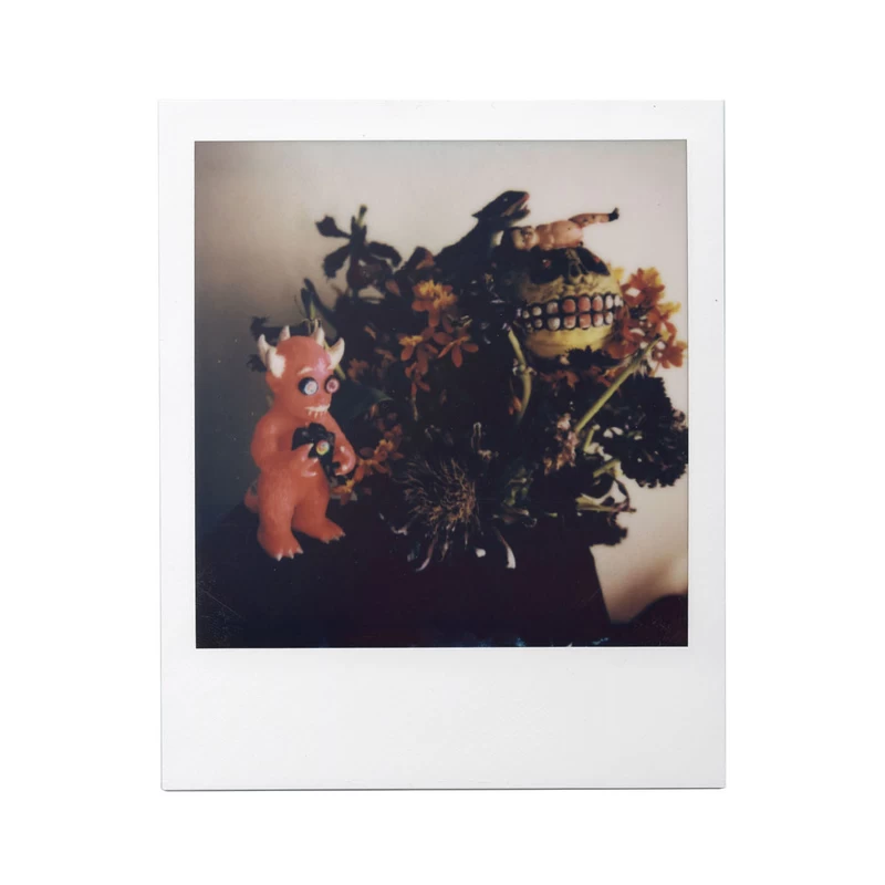 暗箱 - 荒木経惟 | shashasha 写々者 - 写真集とアートブック